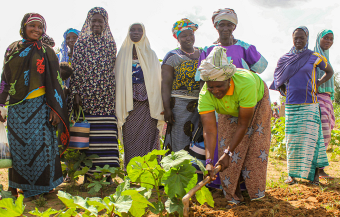 Zalissa, entourée des autres femmes, laboure les plants de gombo