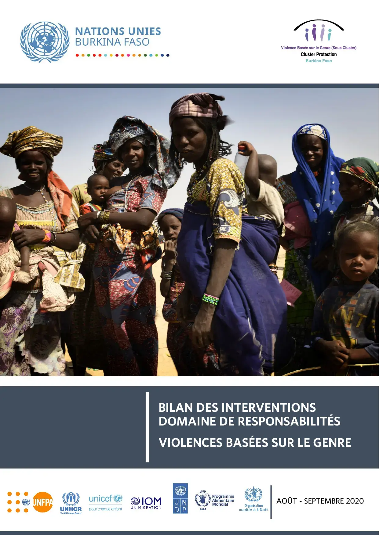 Bilan des interventions du domaine de responsabilités - Violences basées sur le genre #02